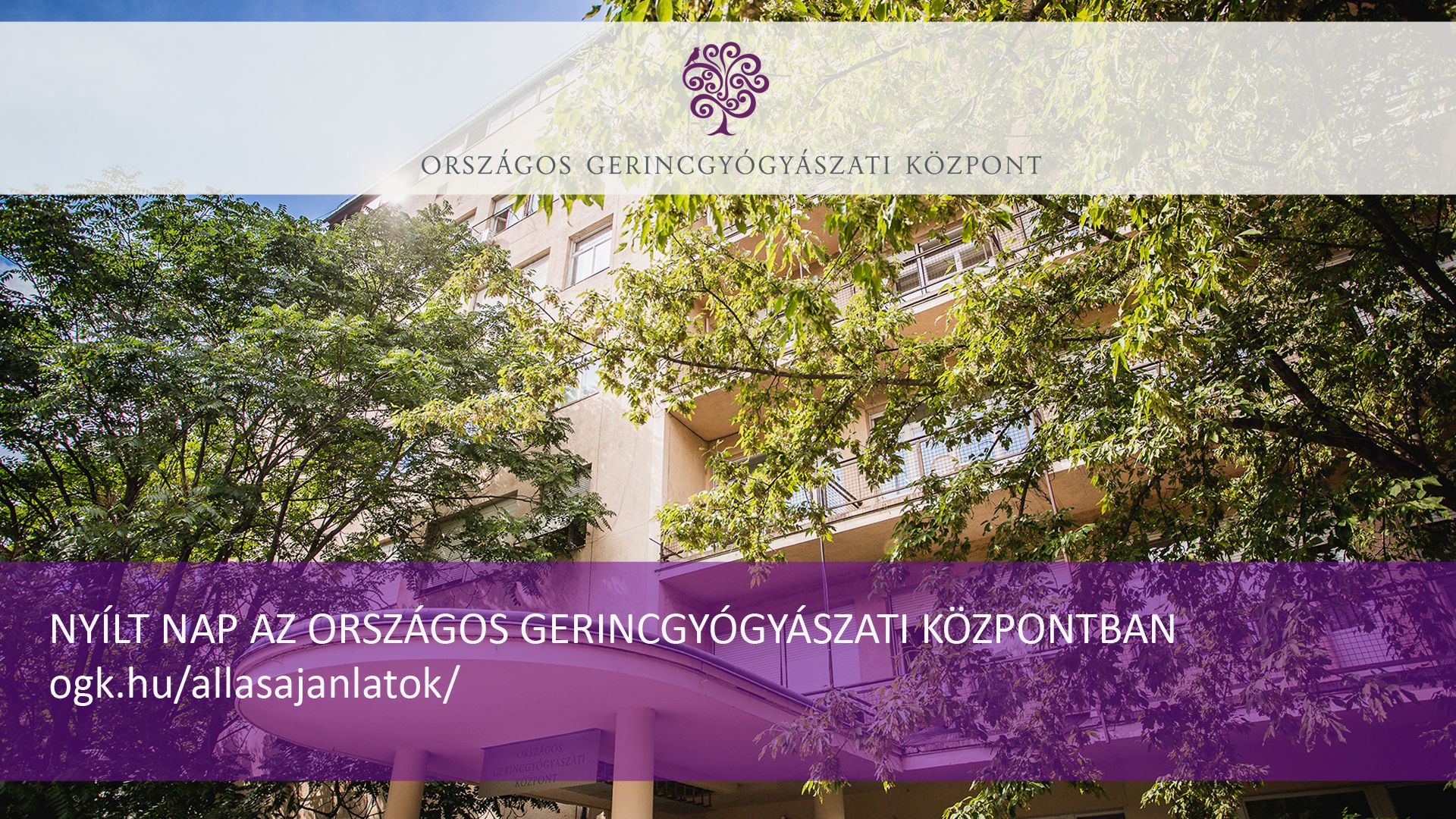 ogk-nyiltnap-2019